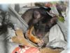 g001_eating_f.jpg