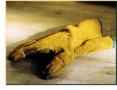Glove with reinforced fingers